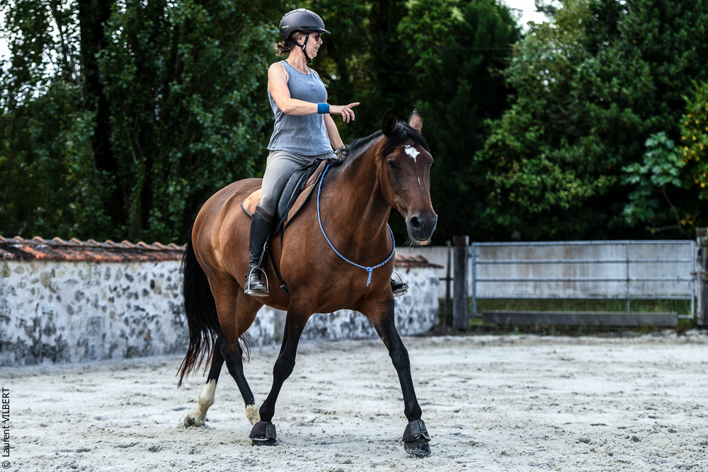 Quinta de Moita 20220627-721