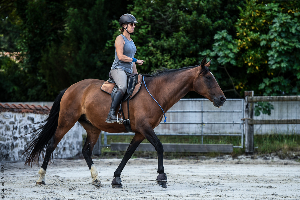 Quinta de Moita 20220627-722