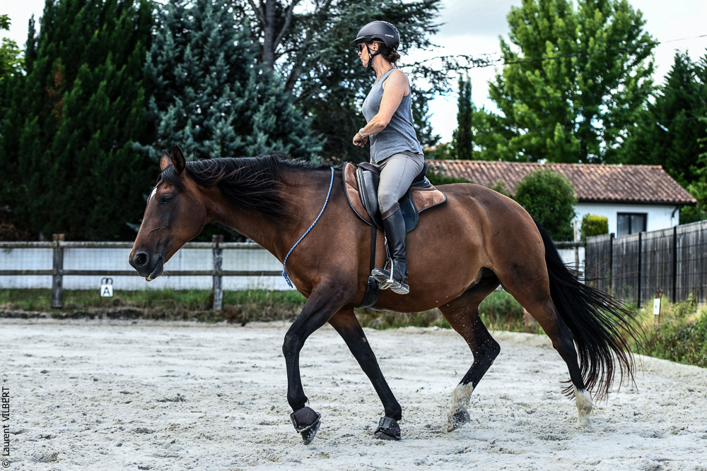 Quinta de Moita 20220627-730