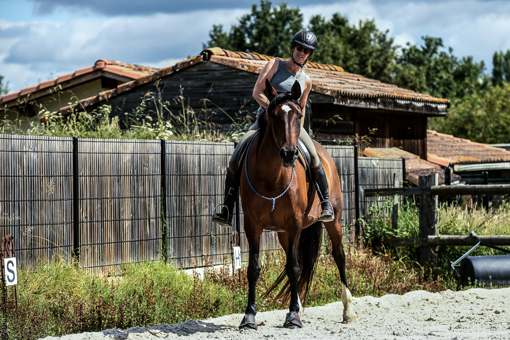 Quinta de Moita 20220627-782