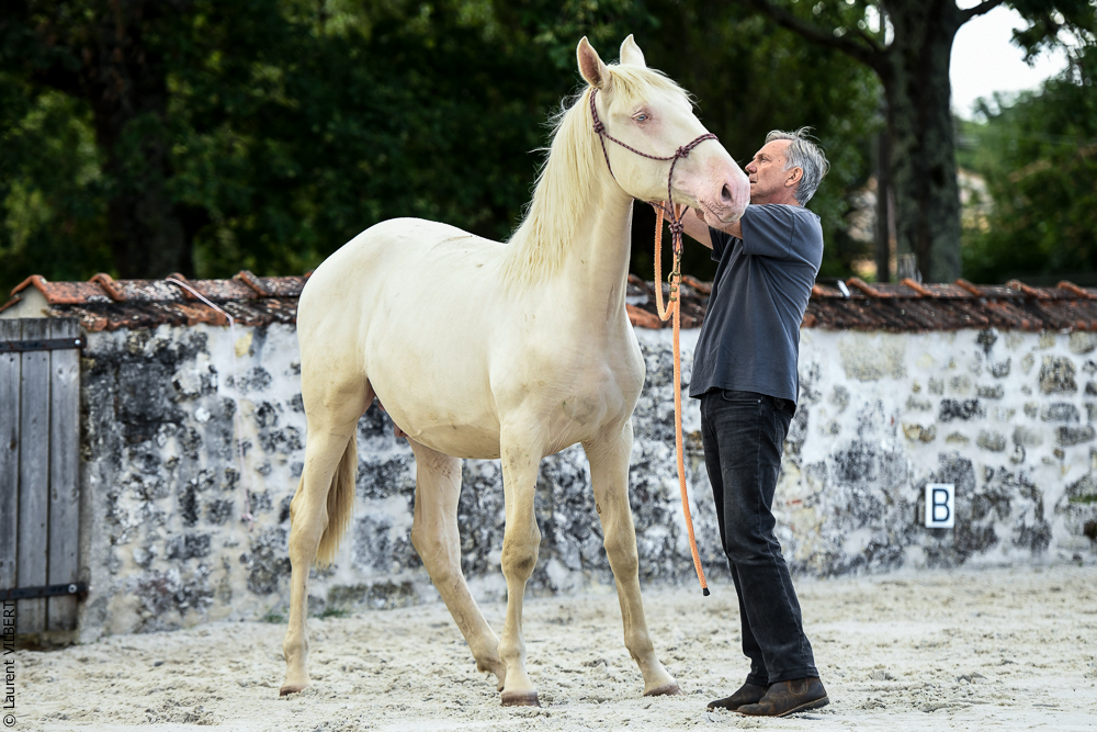 Quinta de Moita 20220627-791