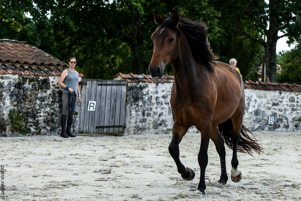 Quinta de Moita 20220627-797