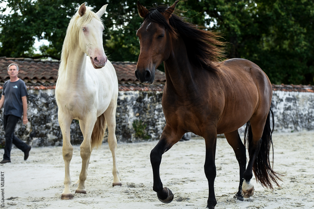 Quinta de Moita 20220627-798