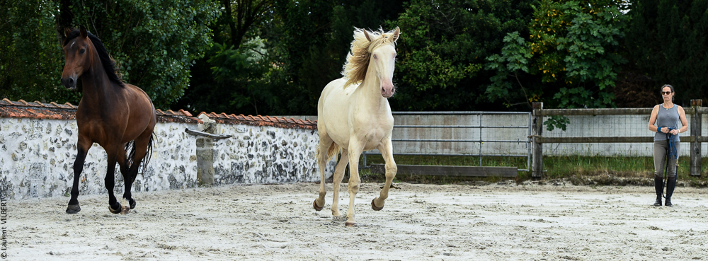 Quinta de Moita 20220627-800