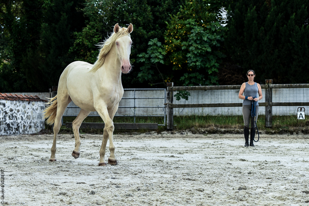 Quinta de Moita 20220627-801