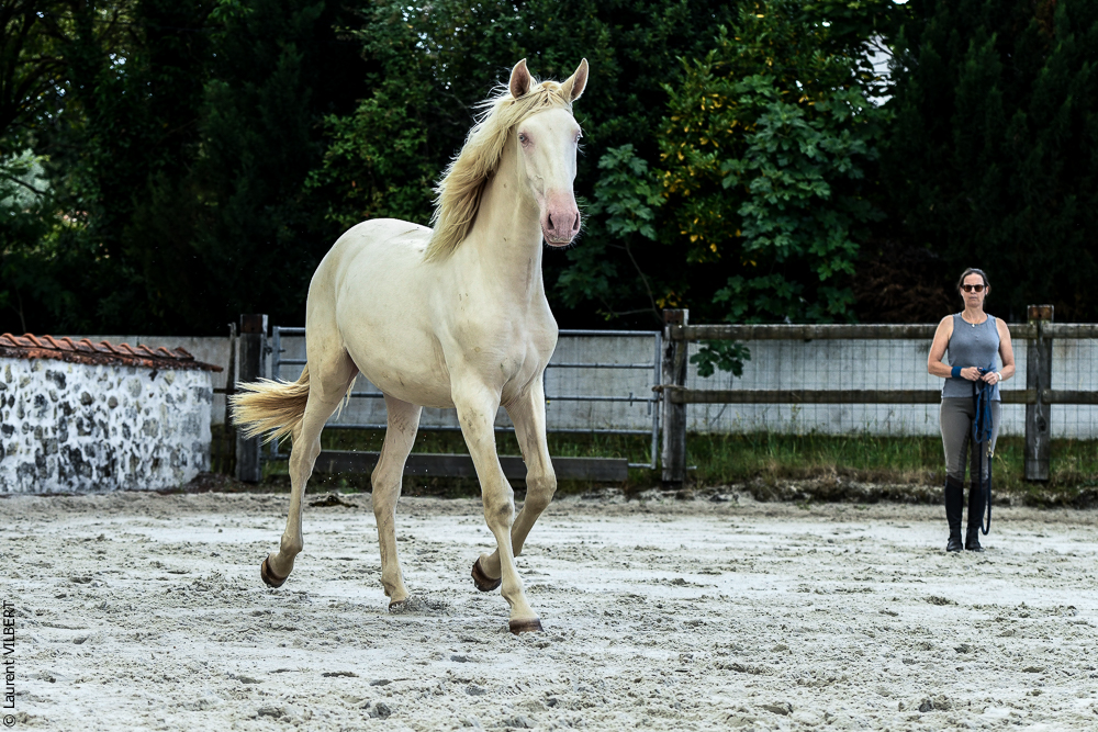 Quinta de Moita 20220627-802