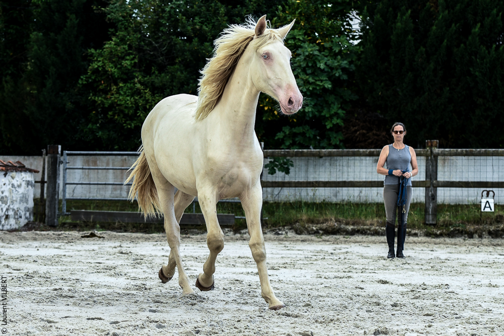 Quinta de Moita 20220627-803