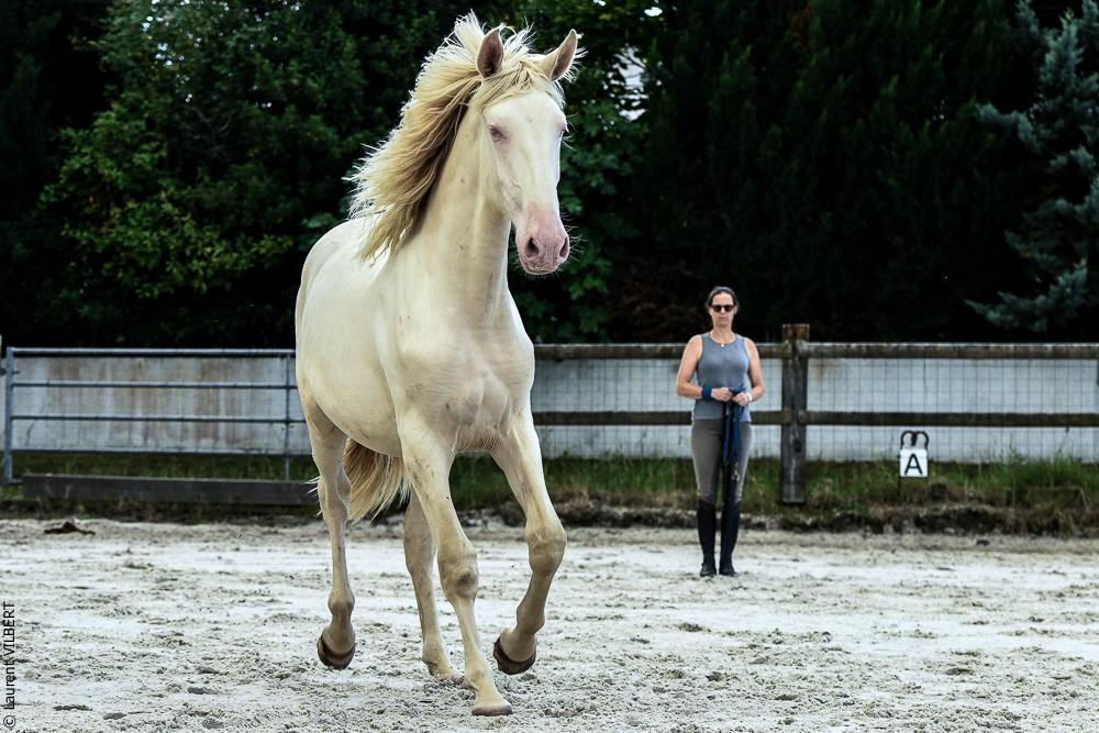 Quinta de Moita 20220627-804