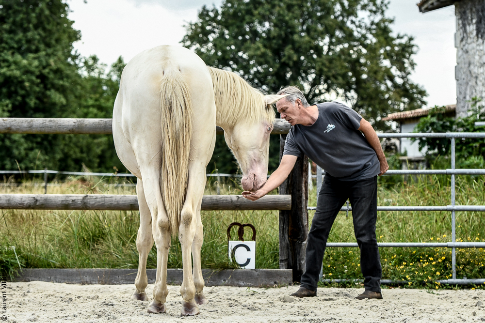 Quinta de Moita 20220627-907