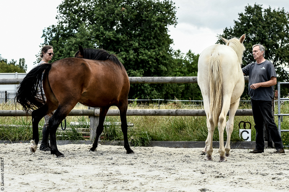 Quinta de Moita 20220627-913