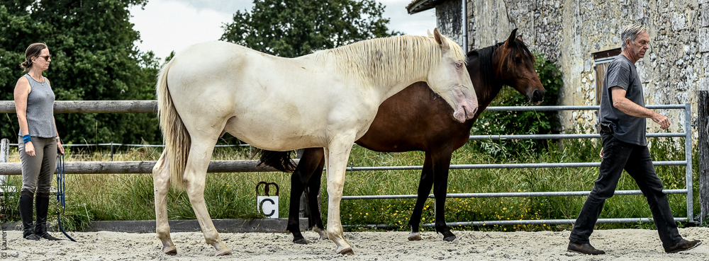 Quinta de Moita 20220627-917