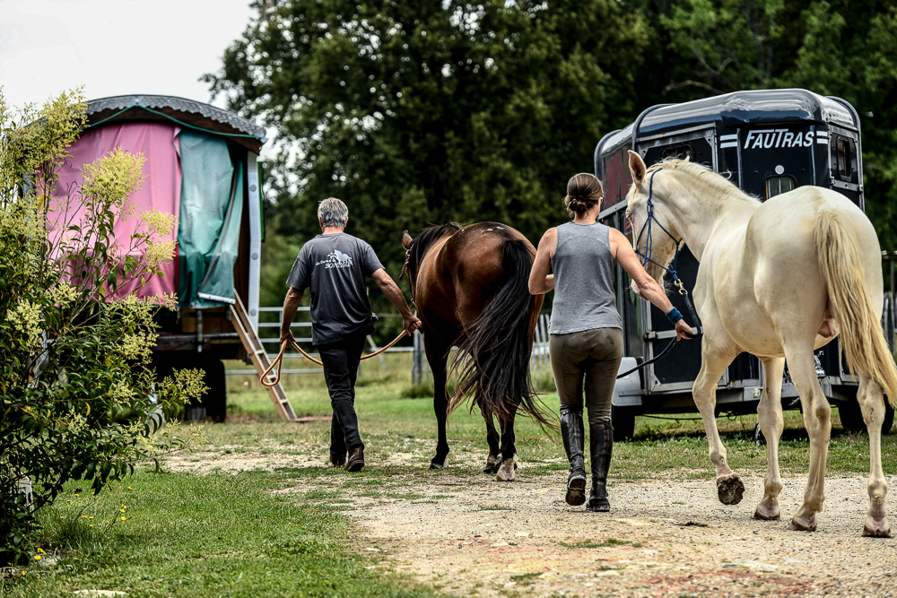 Quinta de Moita 20220627-920
