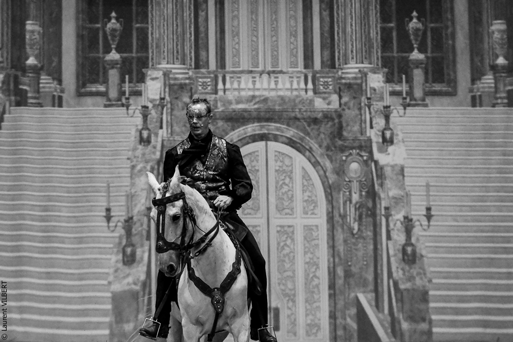 Haras Pin 20221103-0117