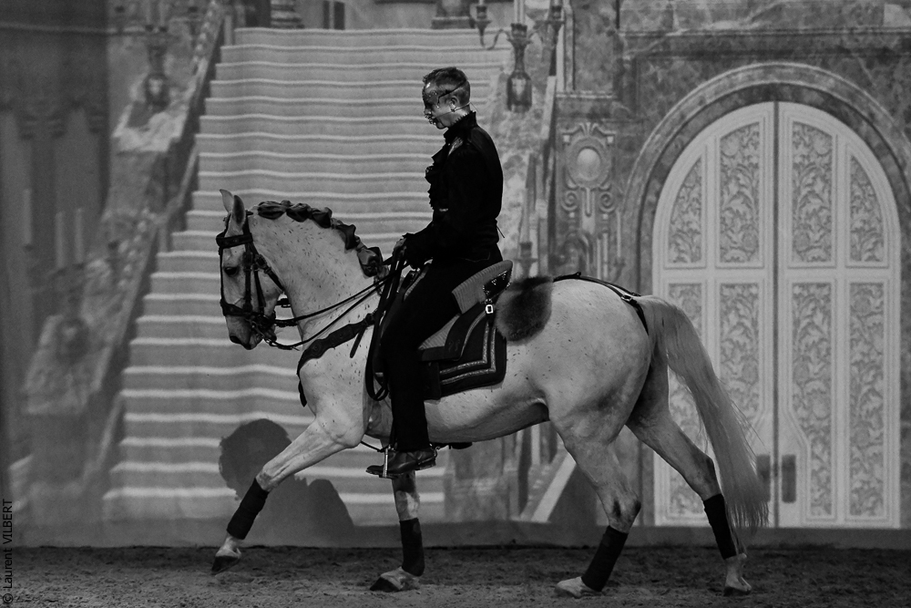 Haras Pin 20221103-0169