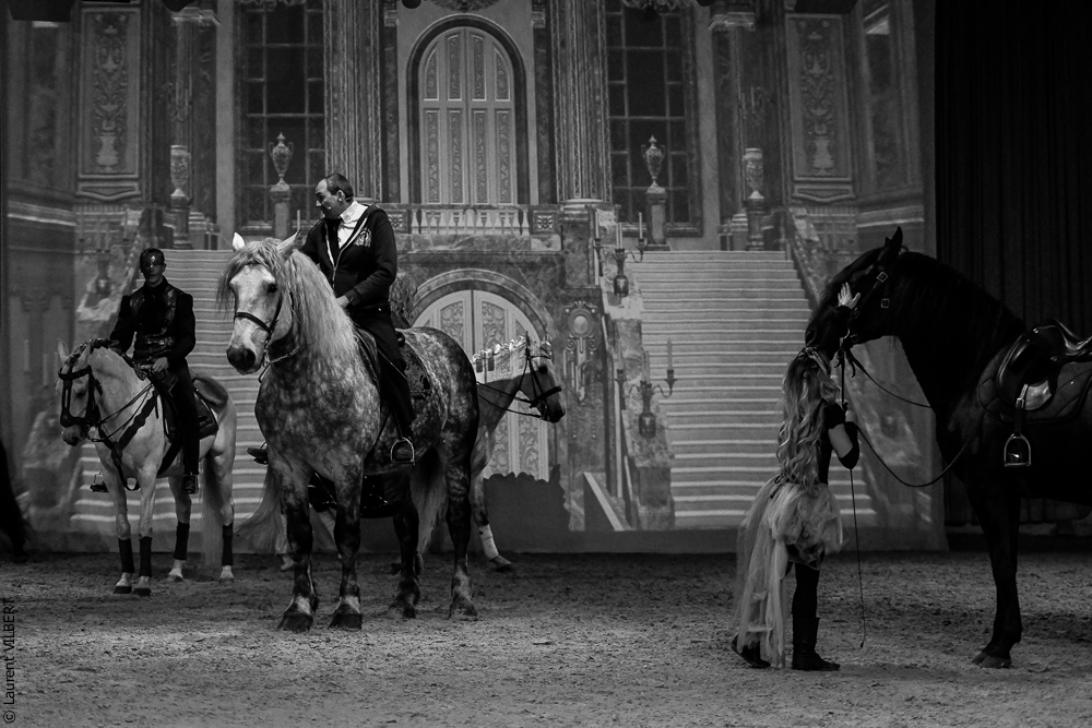 Haras Pin 20221103-0185