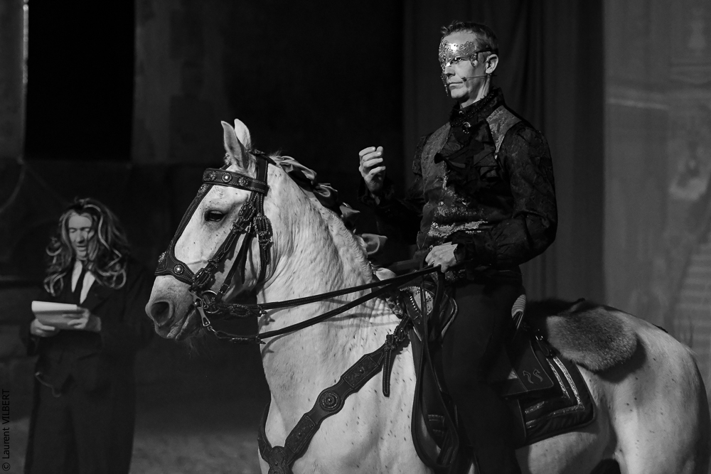 Haras Pin 20221103-0254