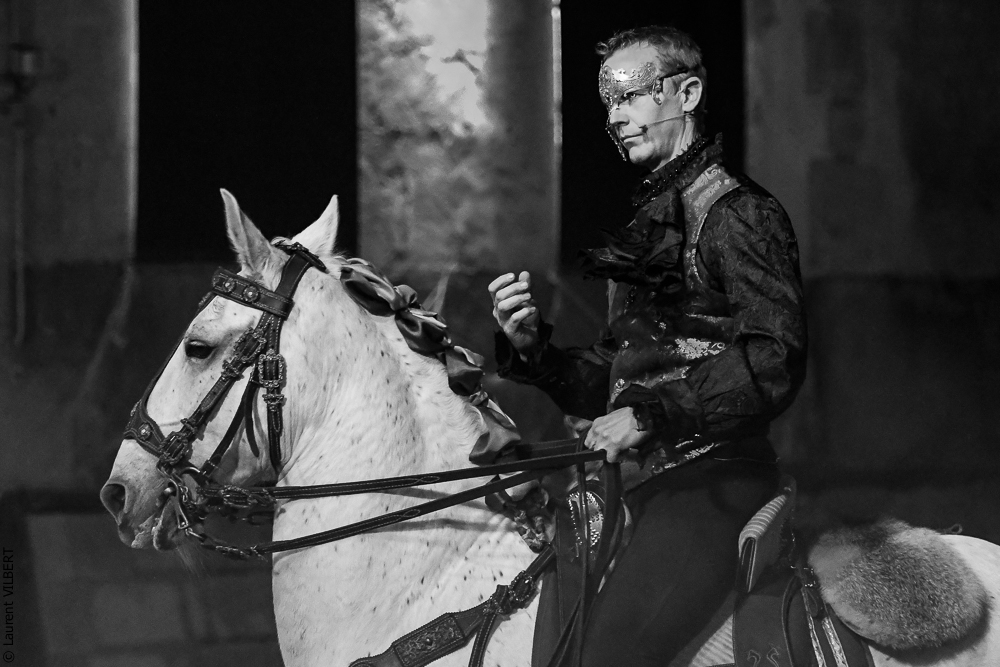 Haras Pin 20221103-0257