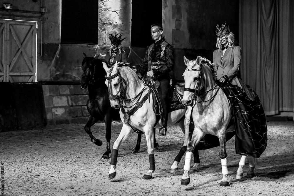 Haras Pin 20221103-0341