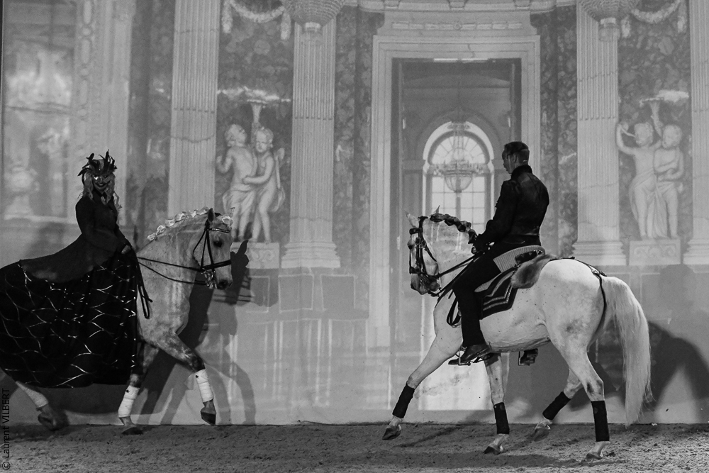 Haras Pin 20221103-0349