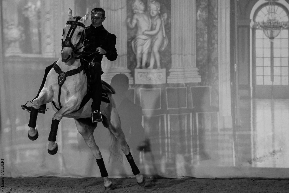 Haras Pin 20221103-0375