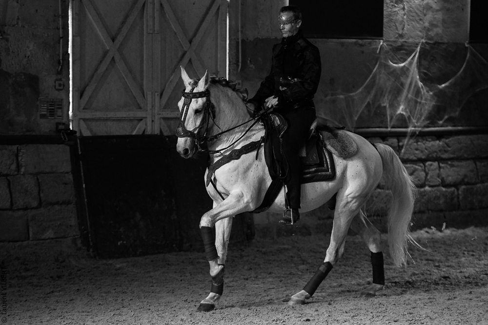 Haras Pin 20221103-0378