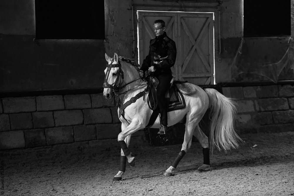 Haras Pin 20221103-0379