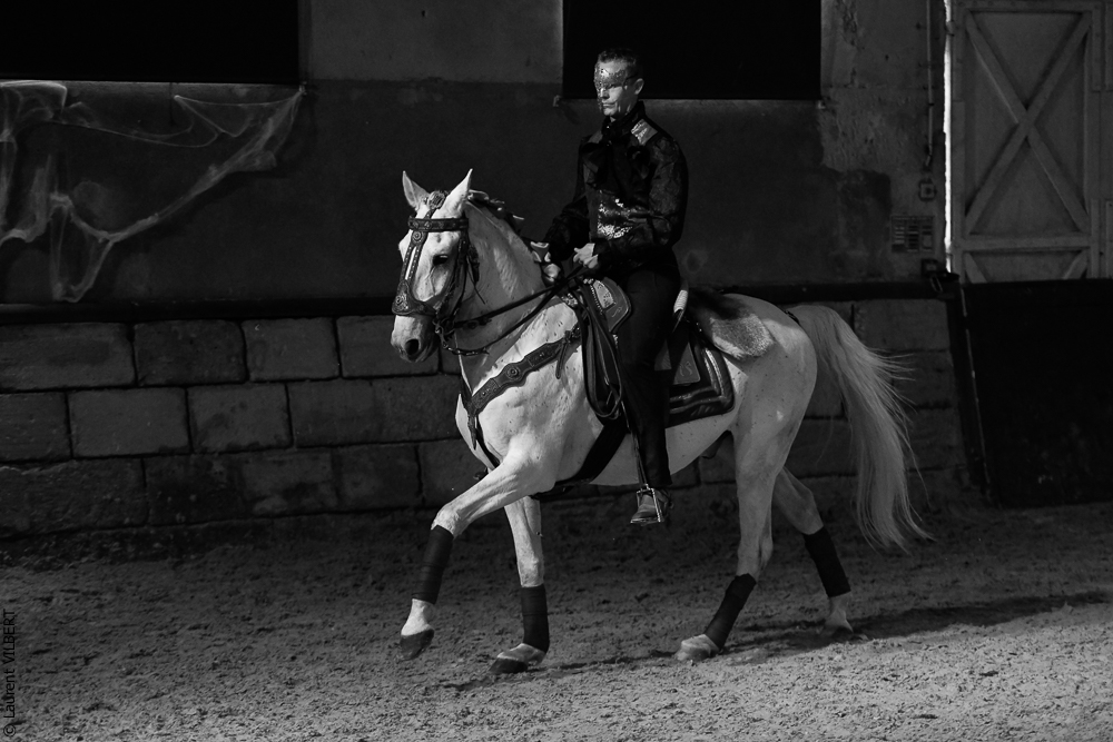 Haras Pin 20221103-0381