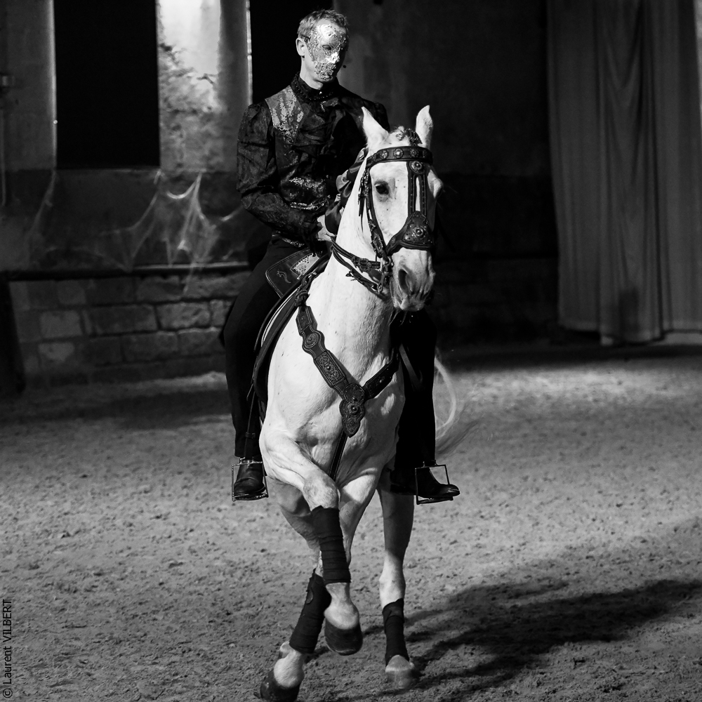 Haras Pin 20221103-0385