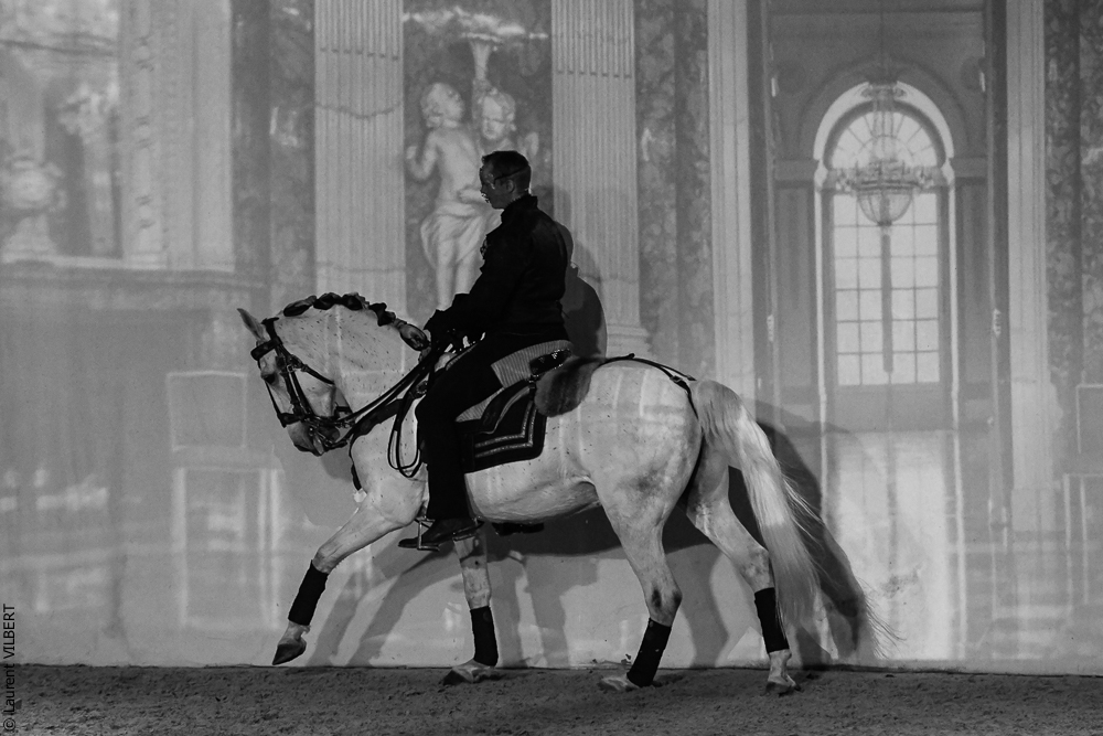 Haras Pin 20221103-0404