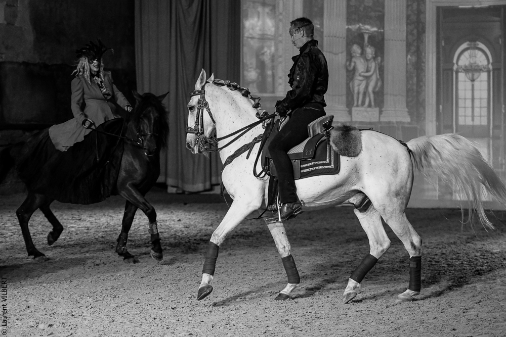 Haras Pin 20221103-0413