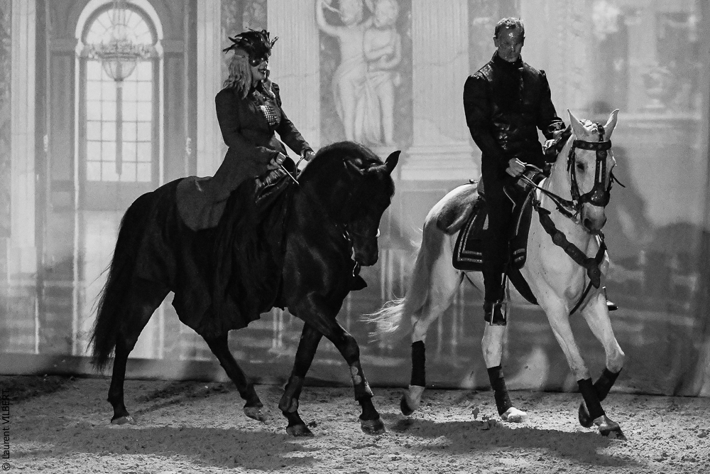 Haras Pin 20221103-0418