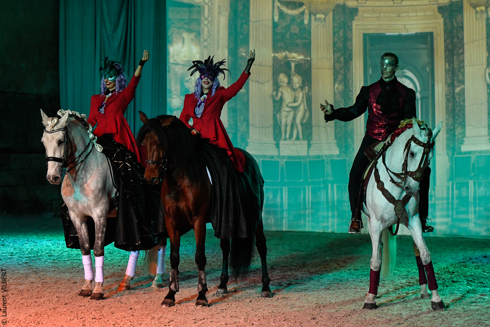 Haras Pin 20221103-0431