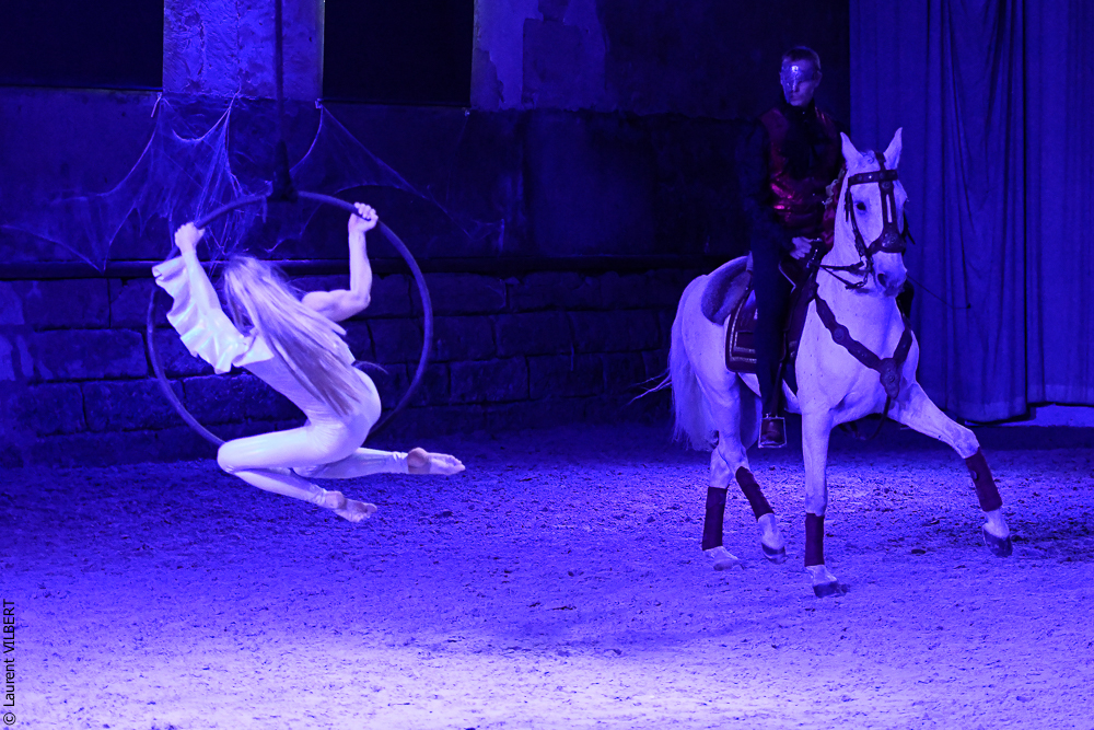 Haras Pin 20221103-1799