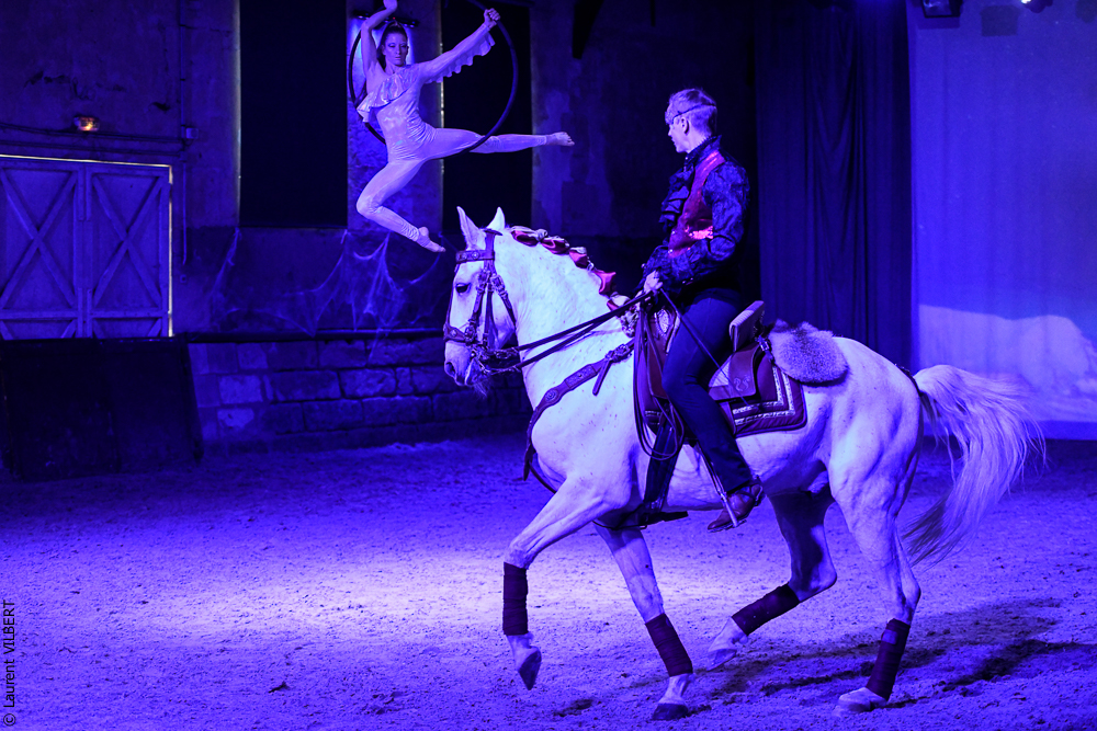 Haras Pin 20221103-1808