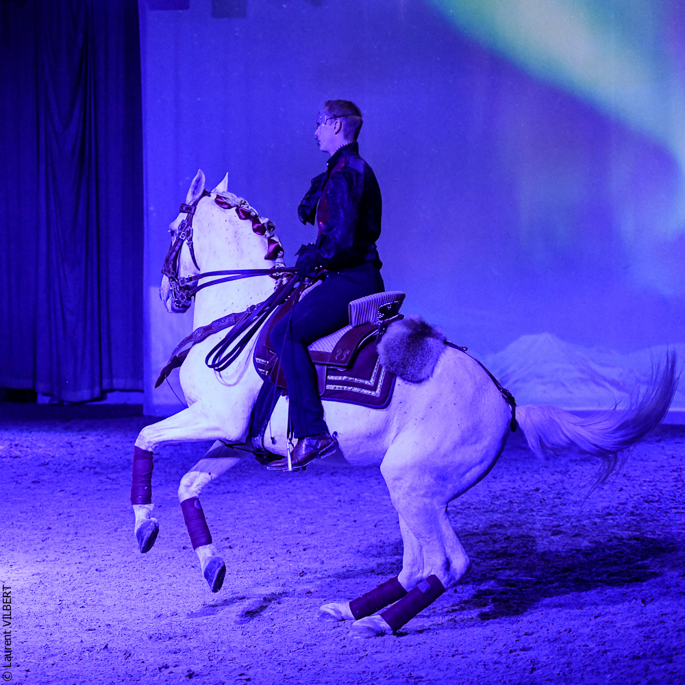 Haras Pin 20221103-1814