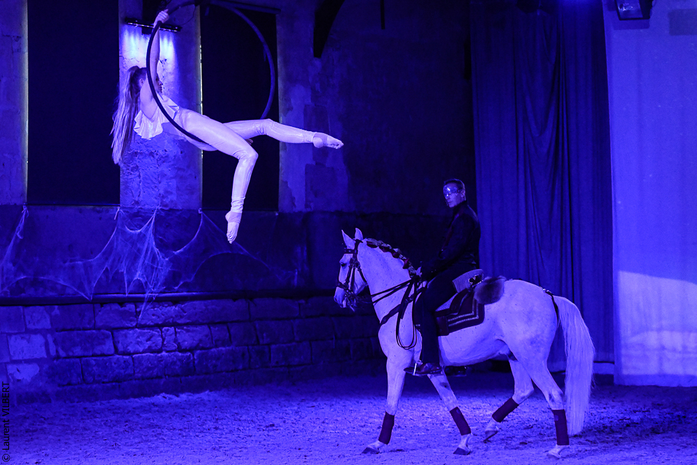 Haras Pin 20221103-1847