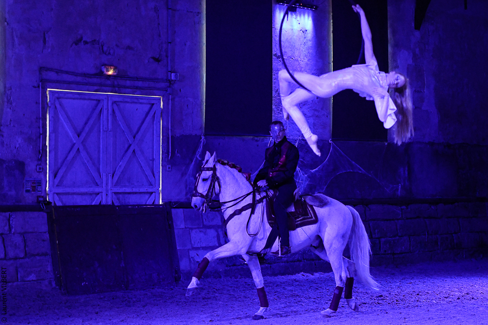 Haras Pin 20221103-1852