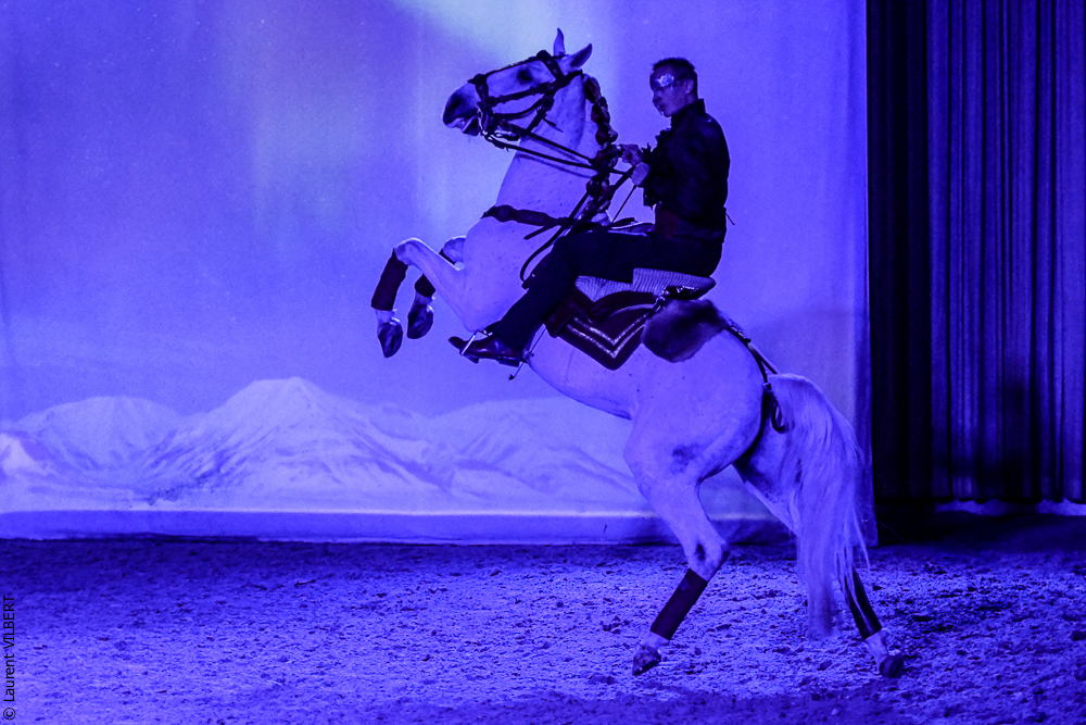 Haras Pin 20221103-1870