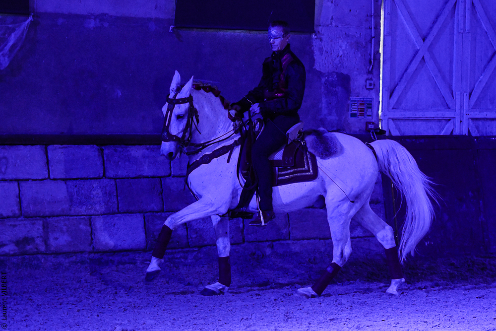 Haras Pin 20221103-1892