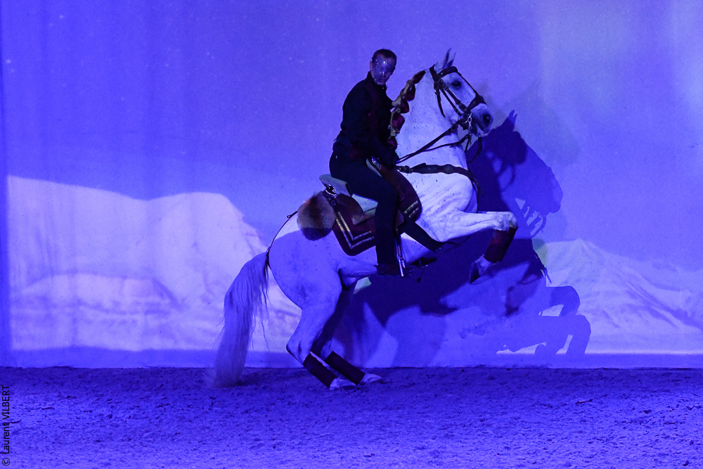 Haras Pin 20221103-1911