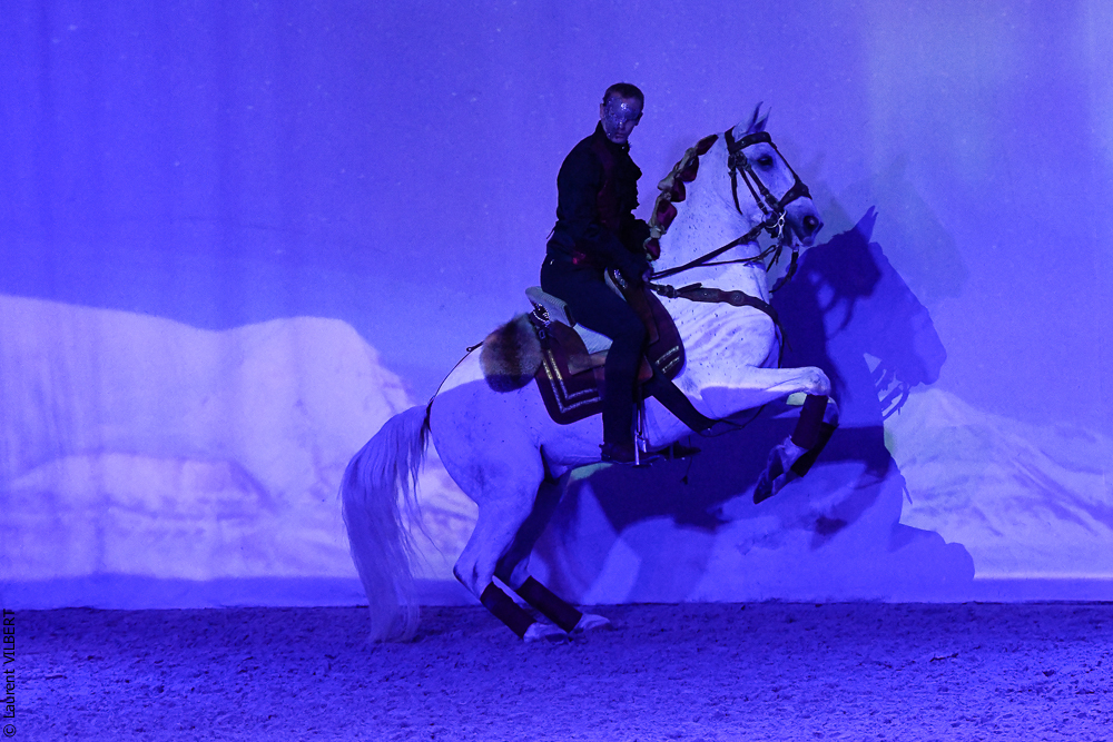 Haras Pin 20221103-1913