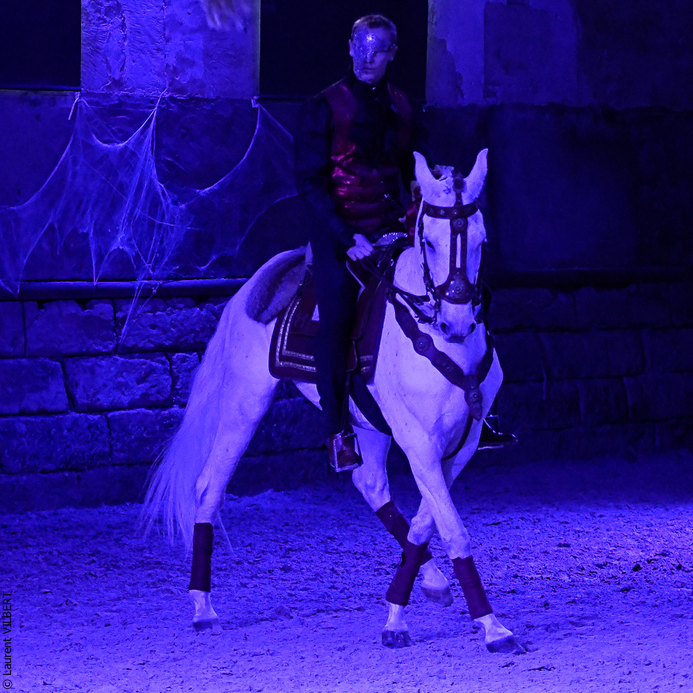 Haras Pin 20221103-1940