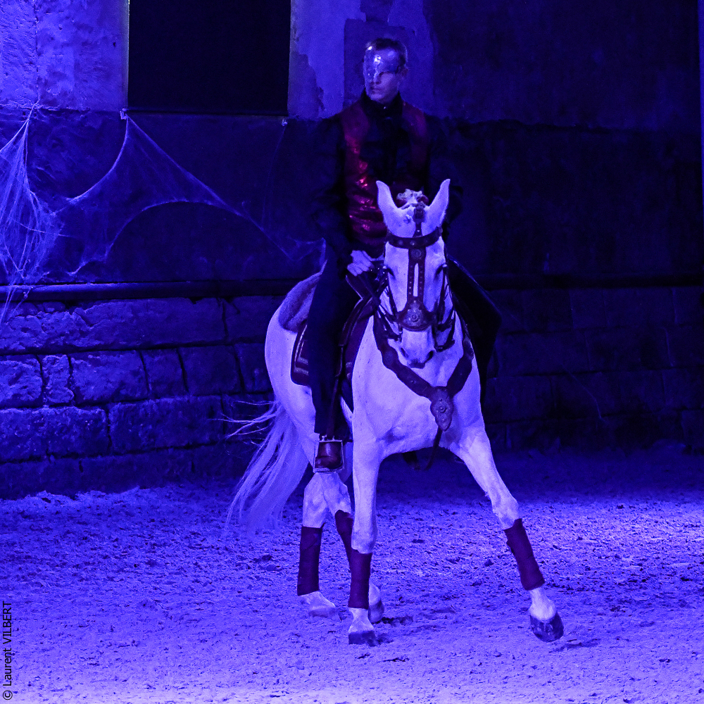 Haras Pin 20221103-1942