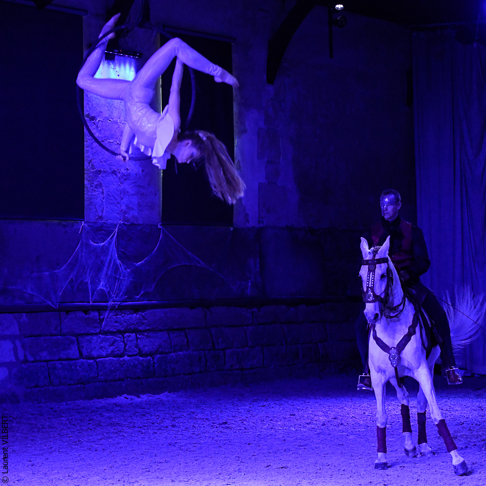 Haras Pin 20221103-1947