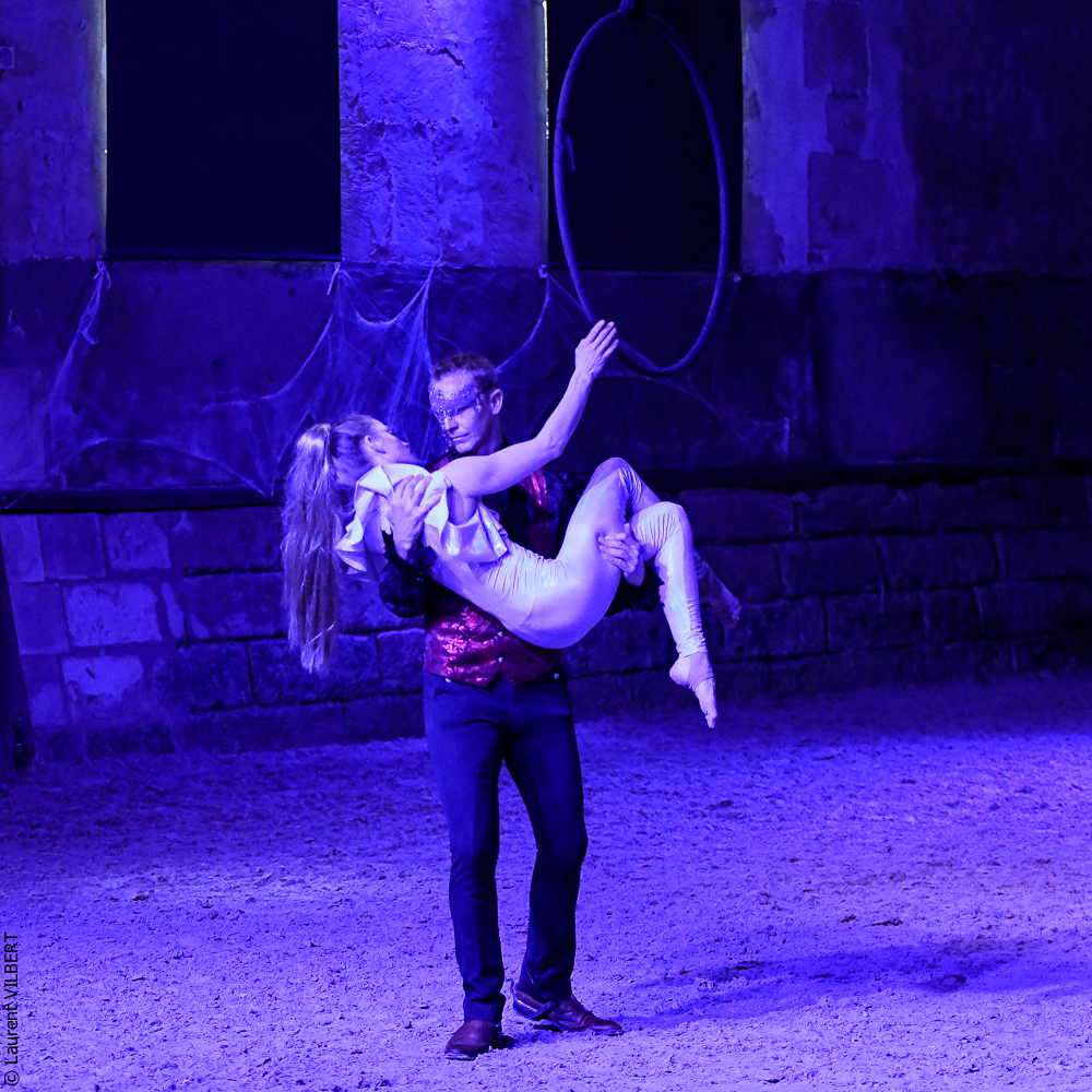 Haras Pin 20221103-1991