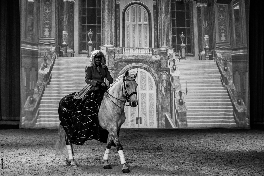 Haras Pin 20221103-0109