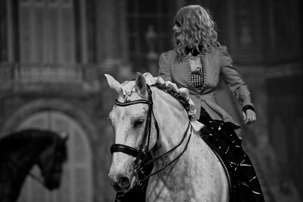 Haras Pin 20221103-0180