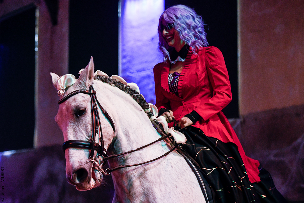 Haras Pin 20221103-0182