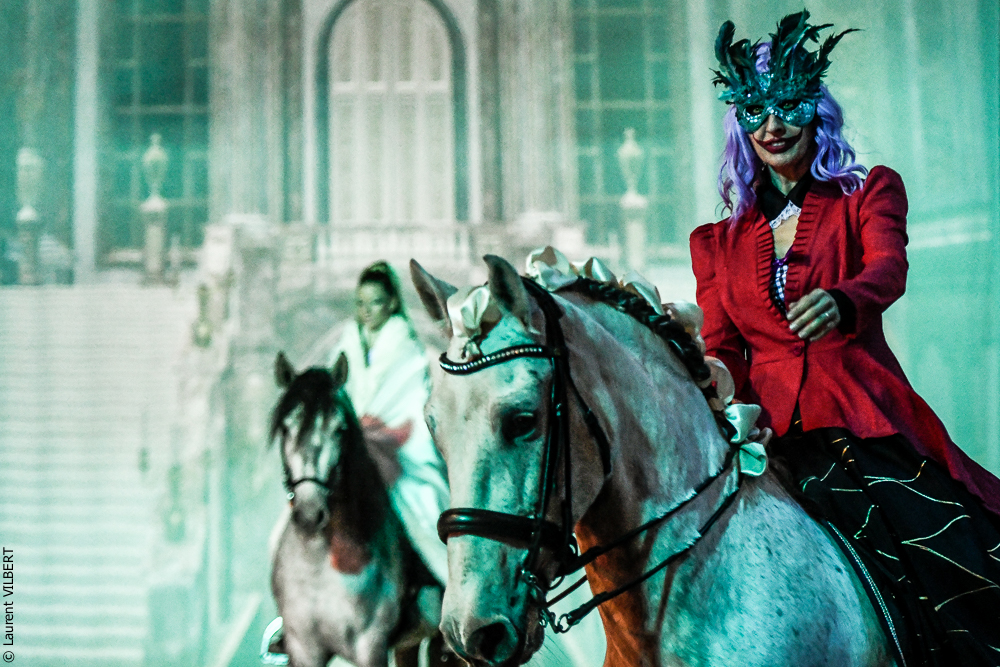 Haras Pin 20221103-0302