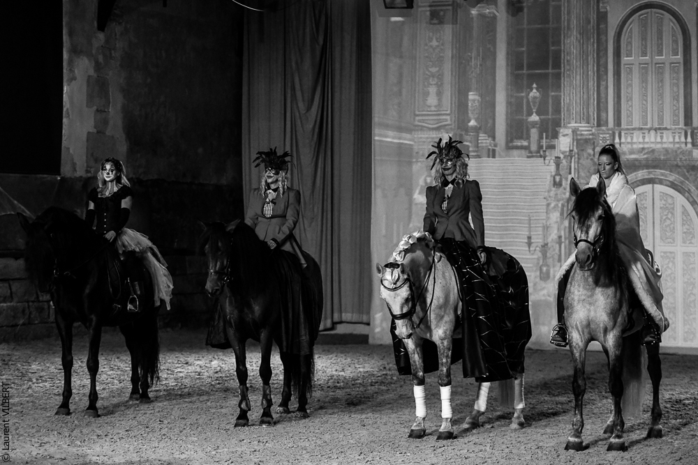 Haras Pin 20221103-0318